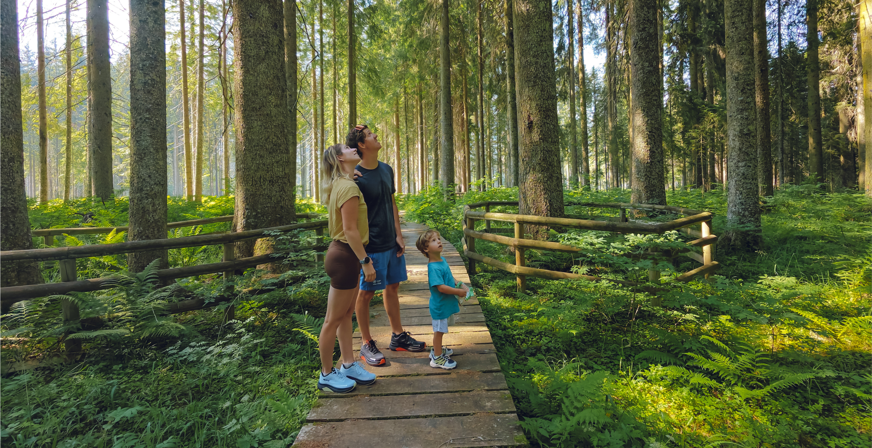 Alpina - Outdoor collection