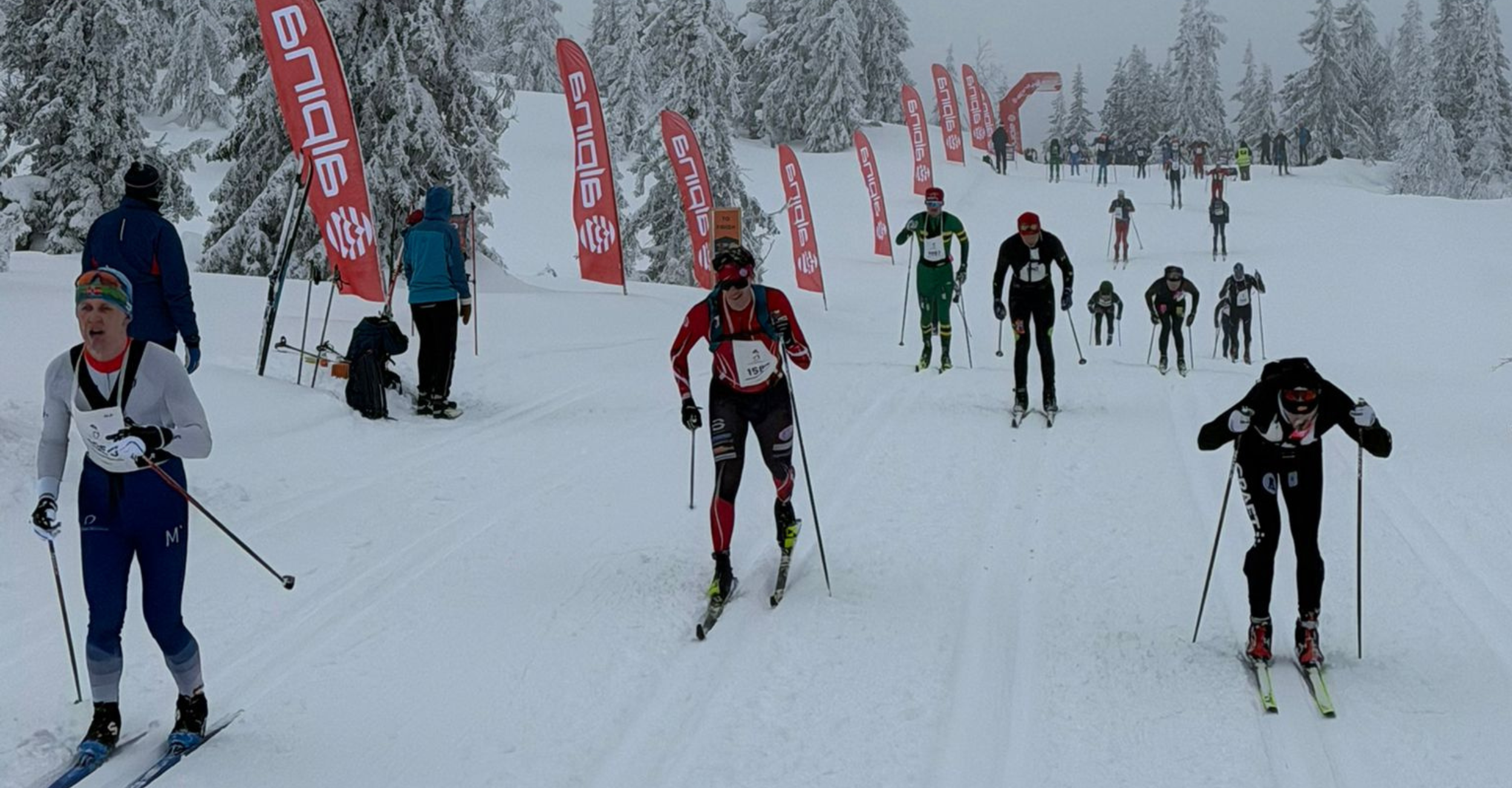Alpina at Birkebeinerrennet 2026